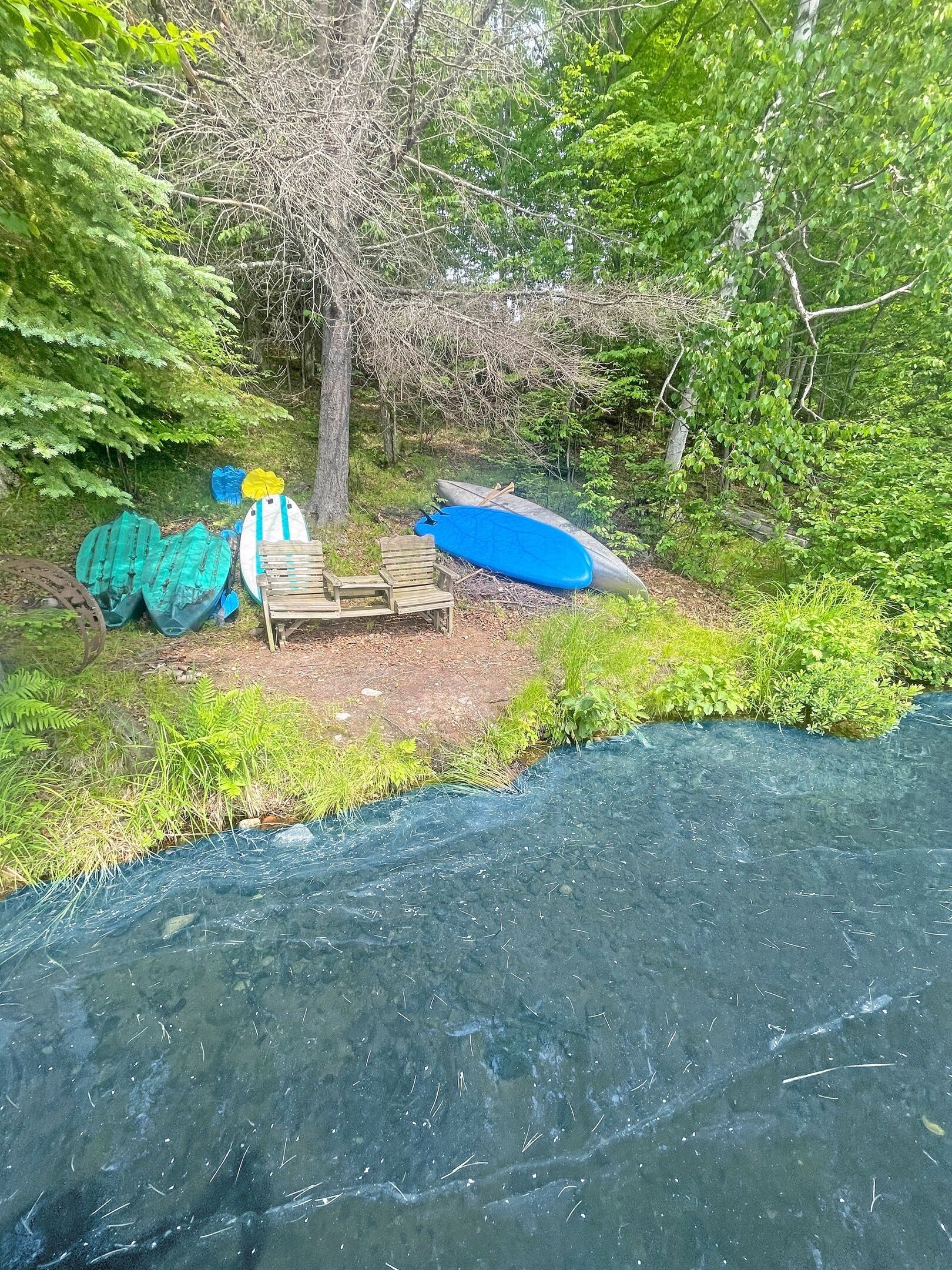 Une rive bordée de kayaks et d’un canoë, entourée de verdure.