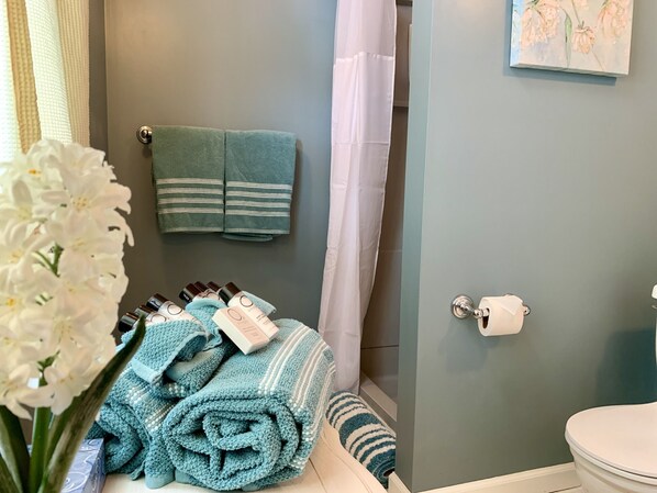 Douche, séchoir à cheveux, serviettes fournies