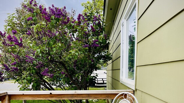 A wooden deck with a round table and white metal chairs, a hanging light fixture, and a purple flowering tree in the background. - In-Town Home, Hot Tub, Wifi & Minutes to Skiing (Red Lodge)