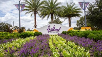 Casa Confort, acceso a la alberca | Vista al resort