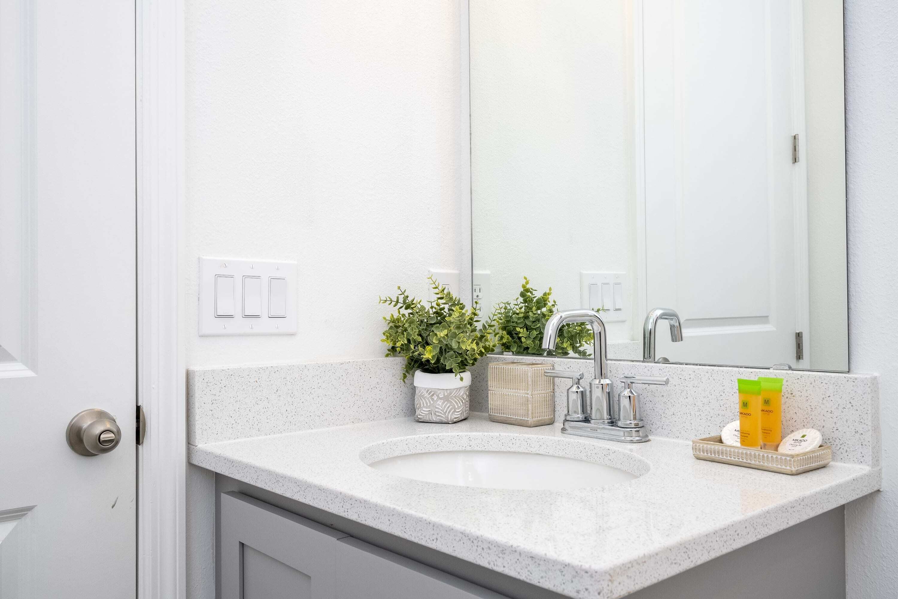A bathroom with a white sink, a mirror, a potted plant, and toiletries.