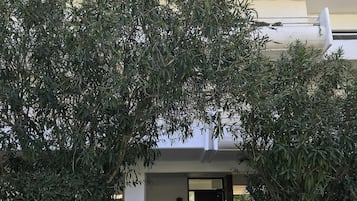 Appartamento | 2 camere