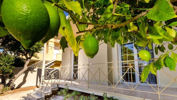A building with a white exterior, a staircase, and a tree with green fruit. - Aquarius - Glyfada Detached House (Glyfada)
