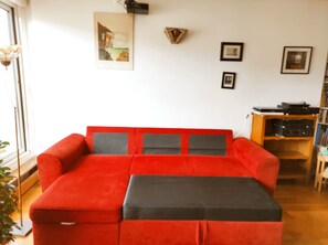 Télévision, lecteur de DVD, livres, vidéothèque