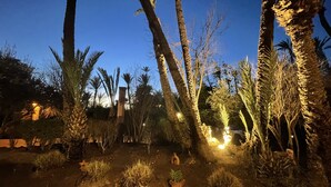 Ein Garten im Dämmerlicht mit Palmen und einem Backsteinhaus.