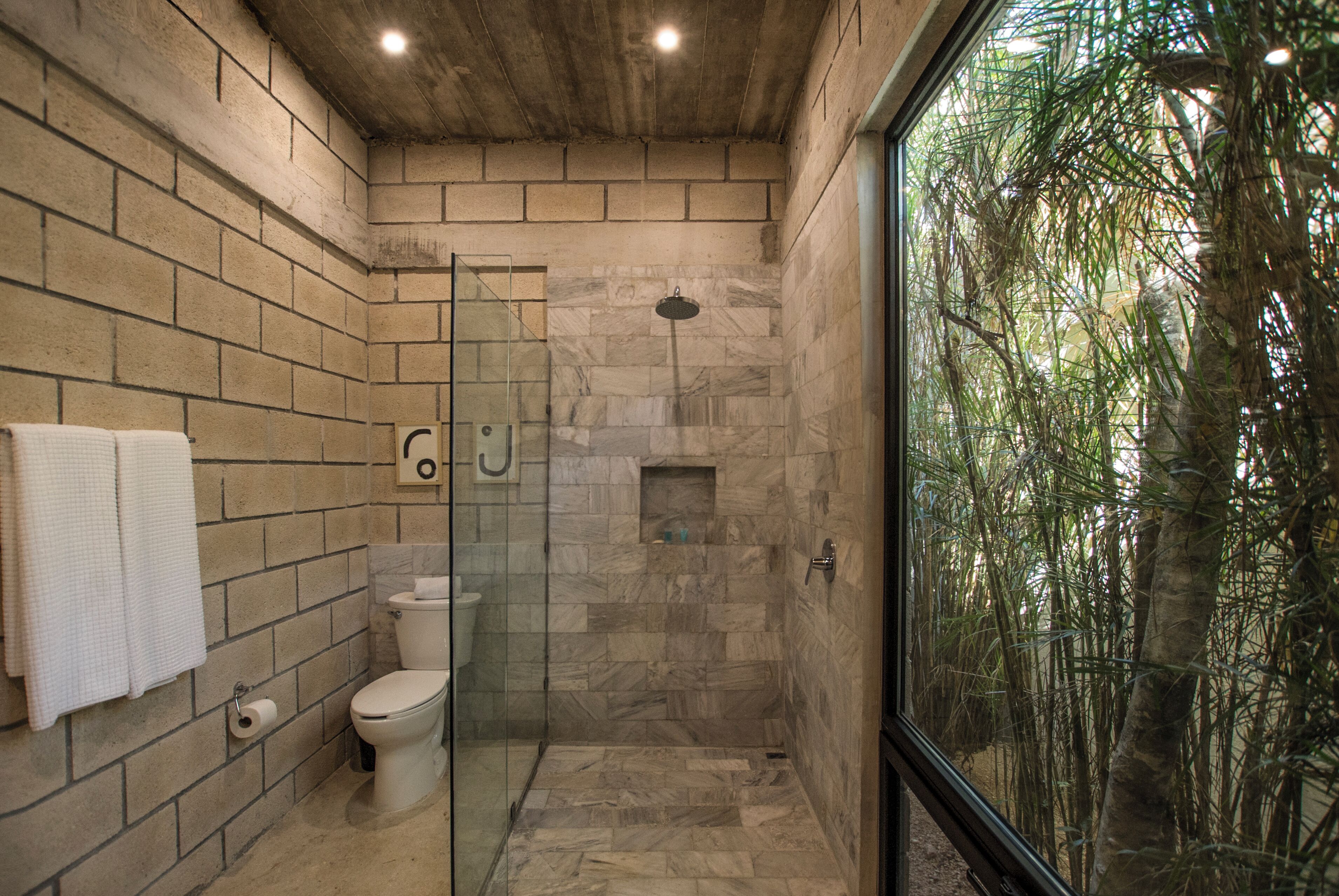 A bathroom with a glass shower enclosure, a toilet, and a visible window with a view of trees.