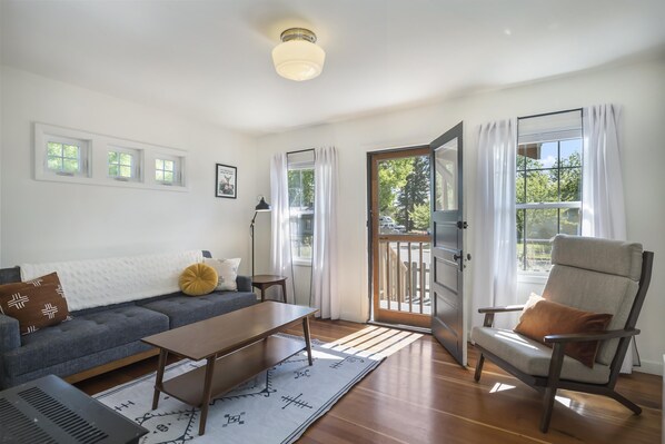 Smart TV, fireplace, books