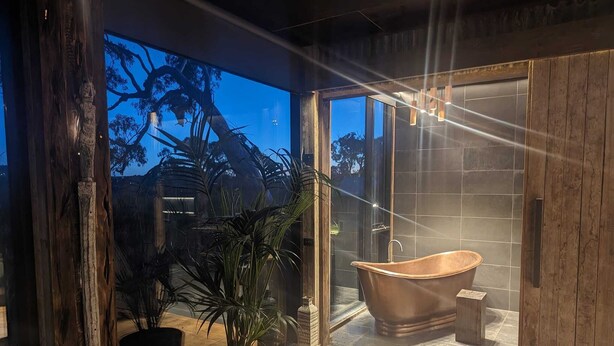 Une salle de bain moderne avec une baignoire sur pieds, de grandes fenêtres et une plante en pot.