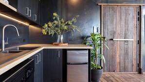 Une cuisine moderne dotée d’un réfrigérateur encastré, d’un plan de travail en bois et d’une plante en pot.