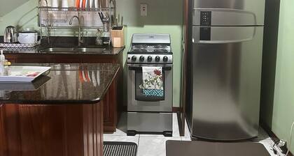 Spacious one bedroom apartment in Kingston