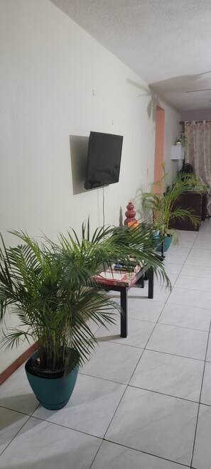 Interior - Spacious one bedroom apartment in Kingston (Kingston)