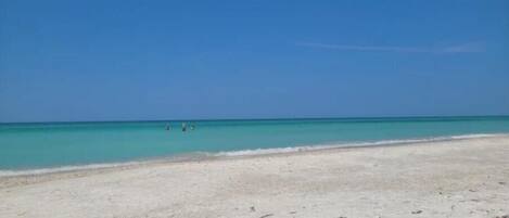 Vlak bij het strand
