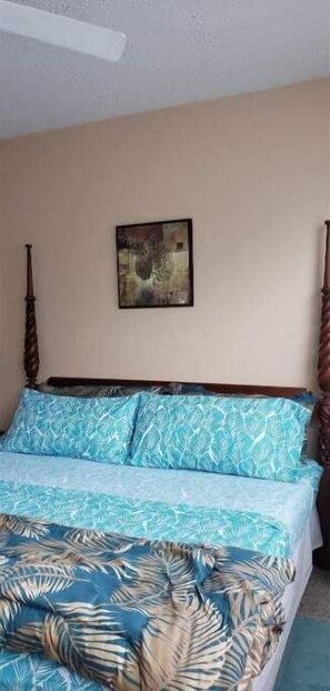 1 bedroom, WiFi - Large Private Studio (Christiansted)