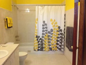 Shower - Large Private Studio (Christiansted)
