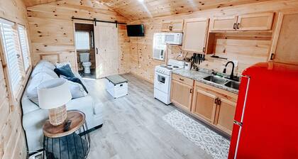 Cozy tiny cabin in Petros -Windrock