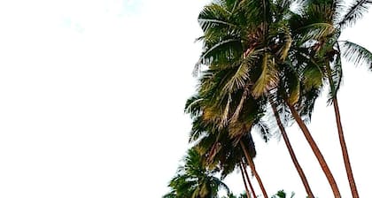 Fijian Fantasy: VRBO Bliss, 1BR/1BA bed & breakfast Gem in Nadi with AC & WiFi