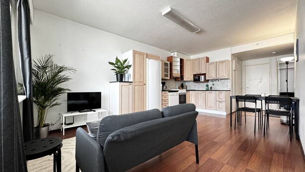 Un salon moderne avec un canapé gris, un téléviseur à écran plat, une plante en pot et un plancher en bois.