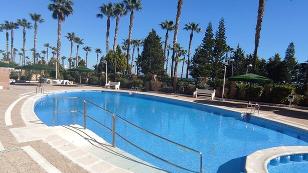 Una piscina de borde curvo, rodeada de palmeras y bancos.
