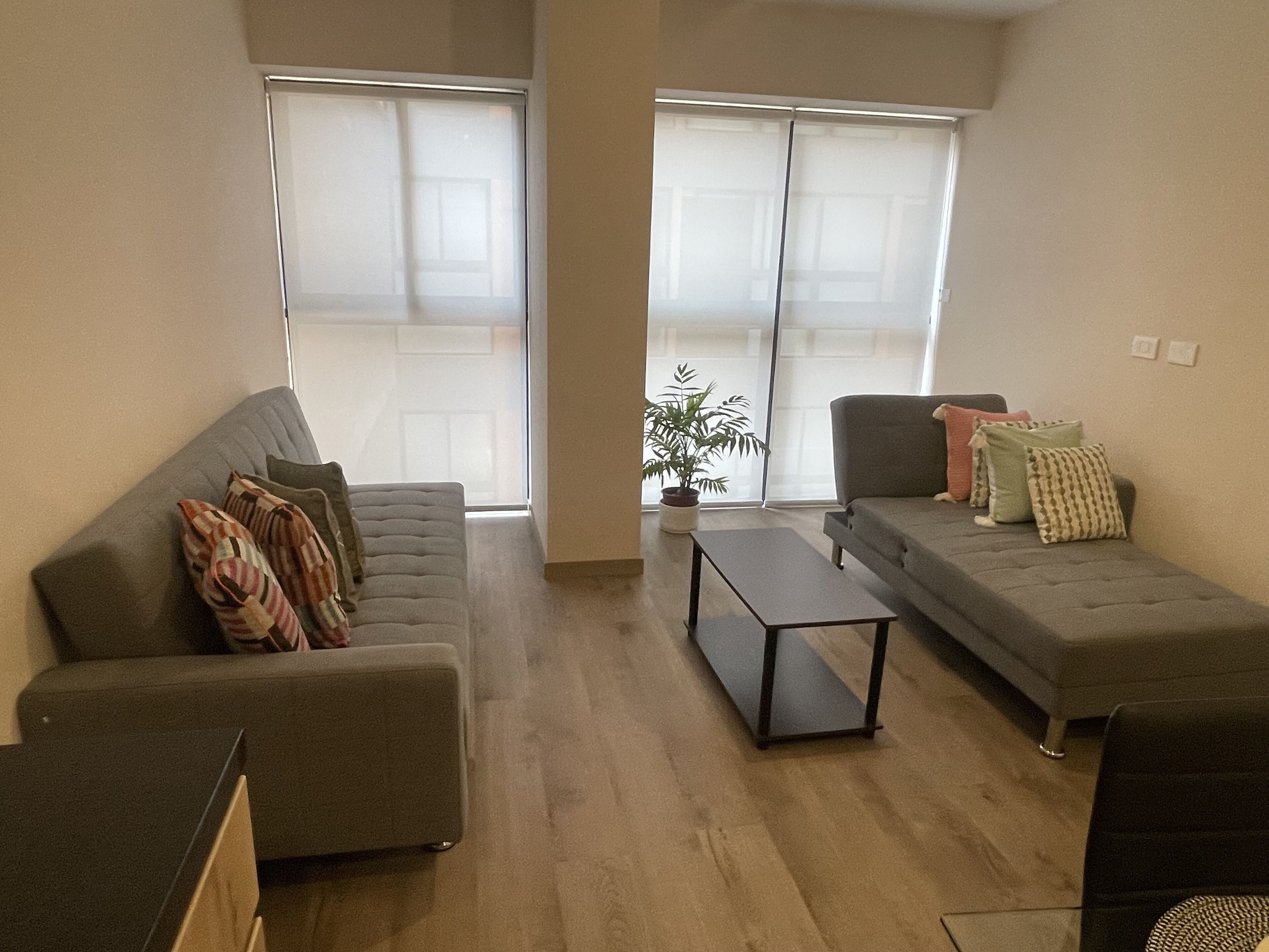 Un saló modern amb un sofà gris, un armari petit gris, una taula de centre i una planta en test.