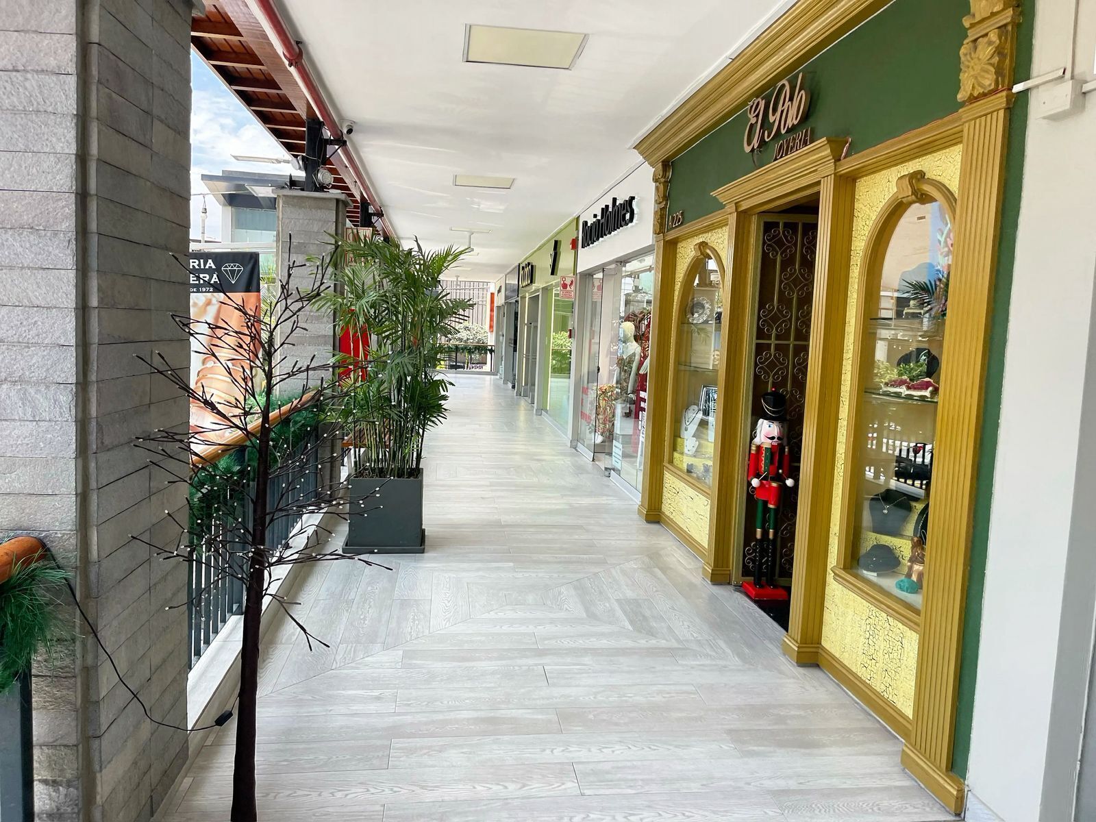 Un couloir doté d’un plancher en bois, de plantes en pot et de devantures de magasins avec des vitrines en verre.