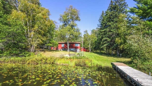 Eine Blockhütte am Seeufer mit einem Steg, der ins Wasser ragt, umgeben von dichtem Wald.