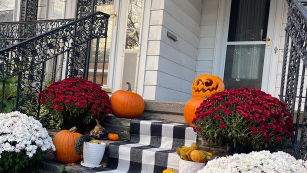 A porch decorated with pumpkins, flowers, and a chevron-patterned rug. - Large One Bedroom Downstairs - with laundry (Medina)