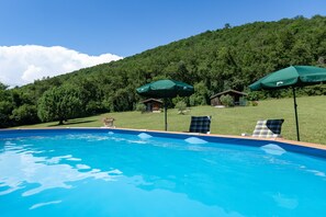 Pool - Chalet 'D'alpion' with Shared Pool, Private Terrace and Shared Garden (LES TOURRETTES)