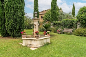 A garden with a fountain, a bench, and tall trees.