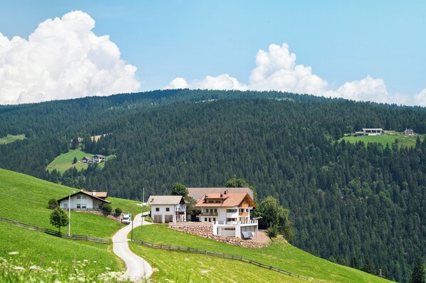 Exterior - Apartment 'Moserhof Wohnung Lavendel' with Mountain View, Balcony and Wi-Fi (San Genesio)