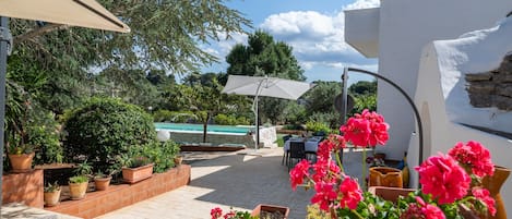 Terras
