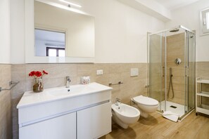 Shower, hair dryer, bidet, towels