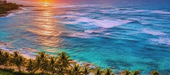 KBM Resorts | FREE CAR | Kuilima Estates | 2-Bedroom Condo at Turtle Bay! KUL-E113