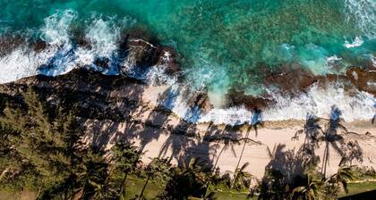 KBM Resorts | FREE CAR | Kuilima Estates | 2-Bedroom Condo at Turtle Bay! KUL-E113