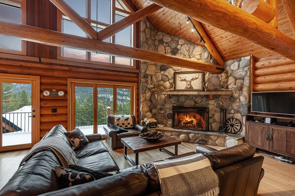 Smart TV, fireplace, books