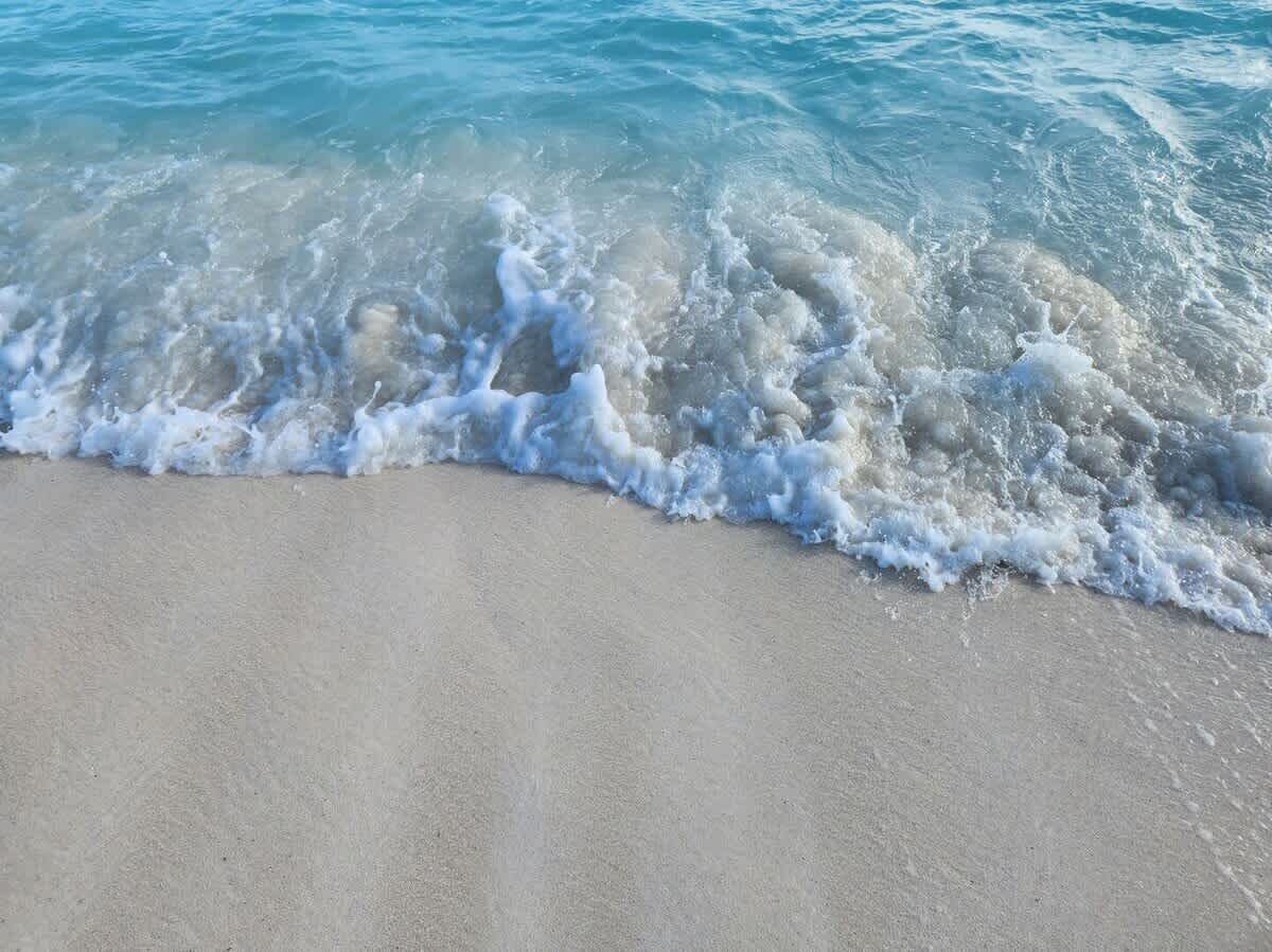 在海灘附近