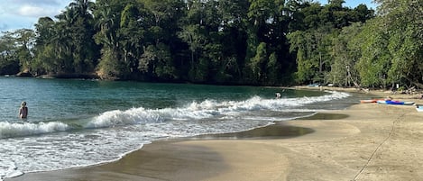 Beach nearby, black sand