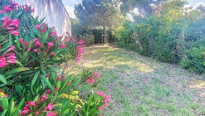 Un jardín con un edificio blanco, follaje verde y un árbol.