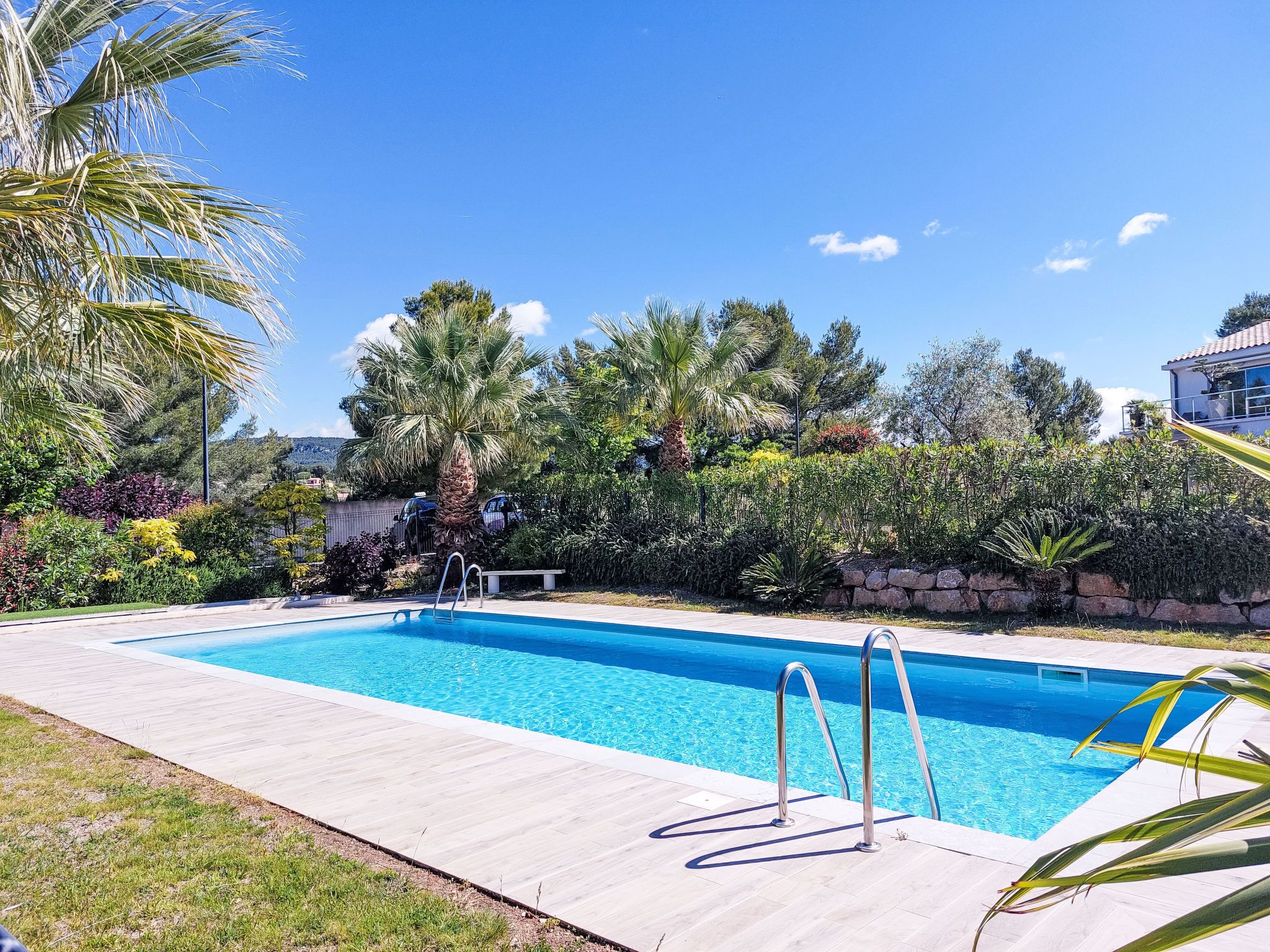 Une piscine rectangulaire avec des échelles en métal, entourée d’une terrasse en bois et d’une végétation luxuriante, notamment des palmiers et divers arbustes.