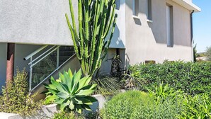 Un edificio moderno con un giardino di cactus, una scala e un balcone.