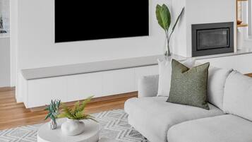 TV, fireplace