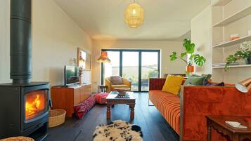 Smart TV, fireplace, books