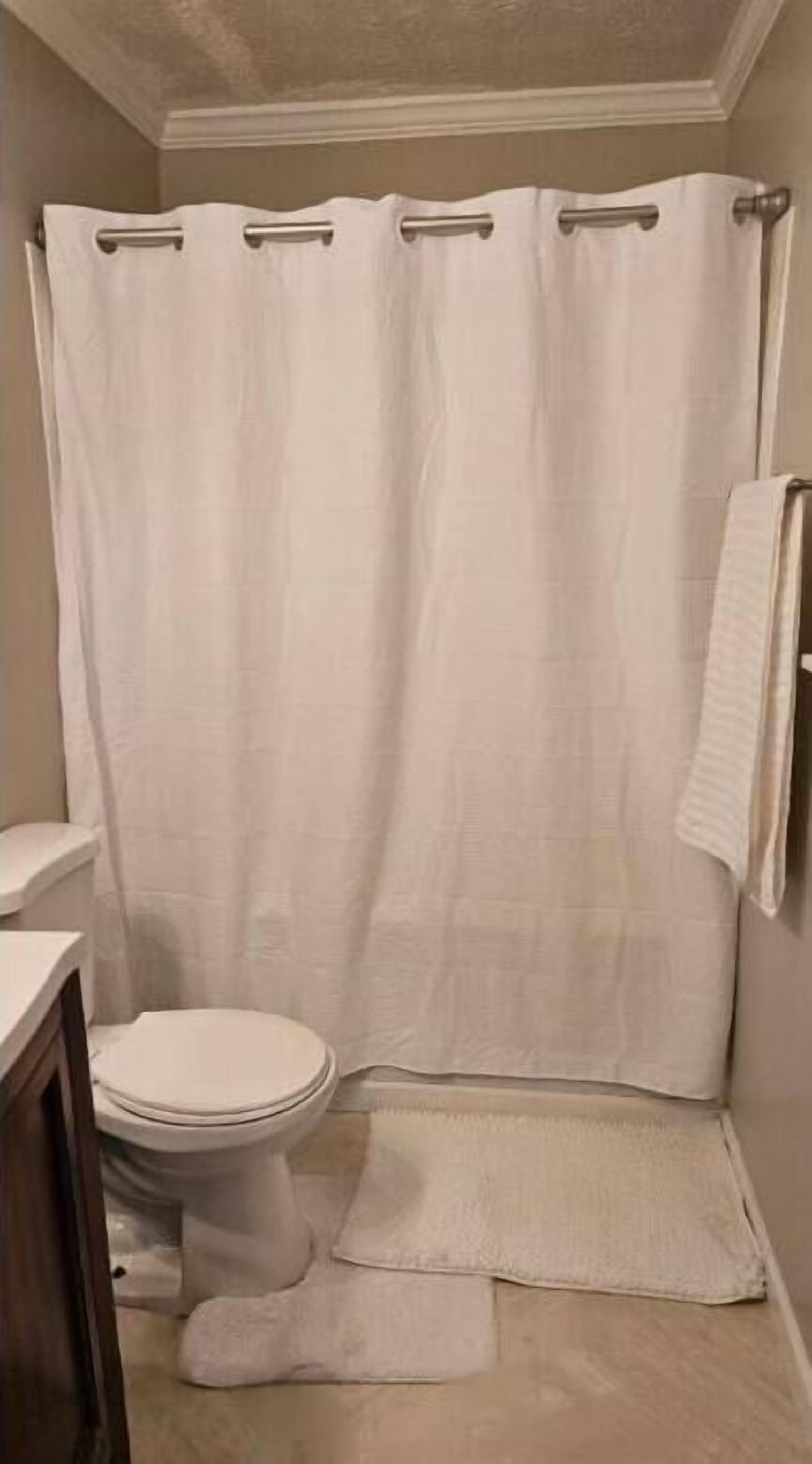 A bathroom with a white shower curtain, a white toilet, and a white bath mat.