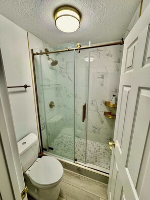 Dusche, Haartrockner, Handtücher, Shampoo