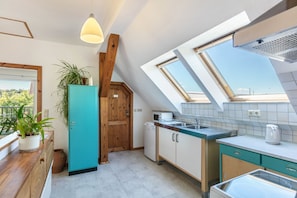 A kitchen with skylights, a wooden door, and a potted plant.
