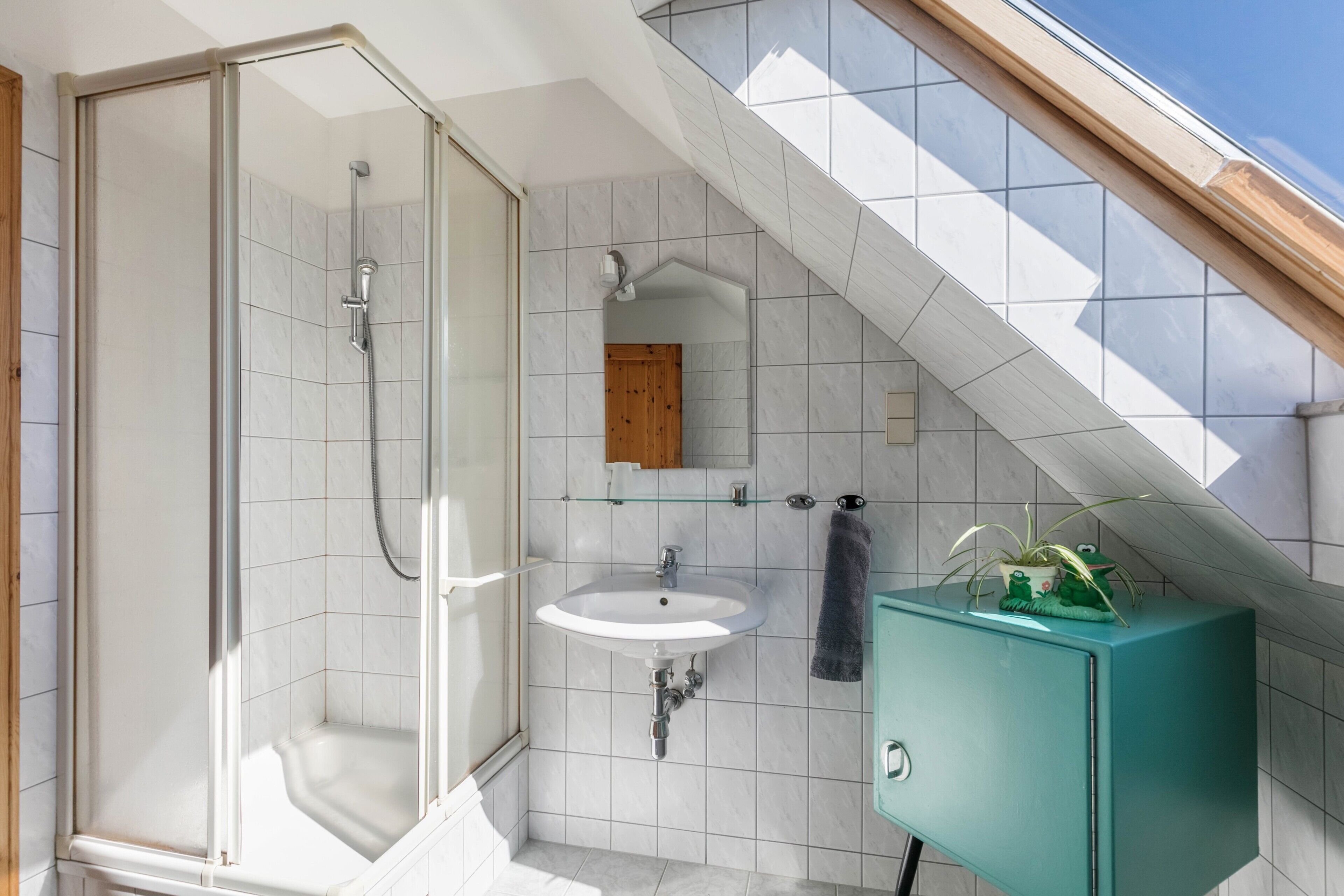 Shower, hair dryer, towels