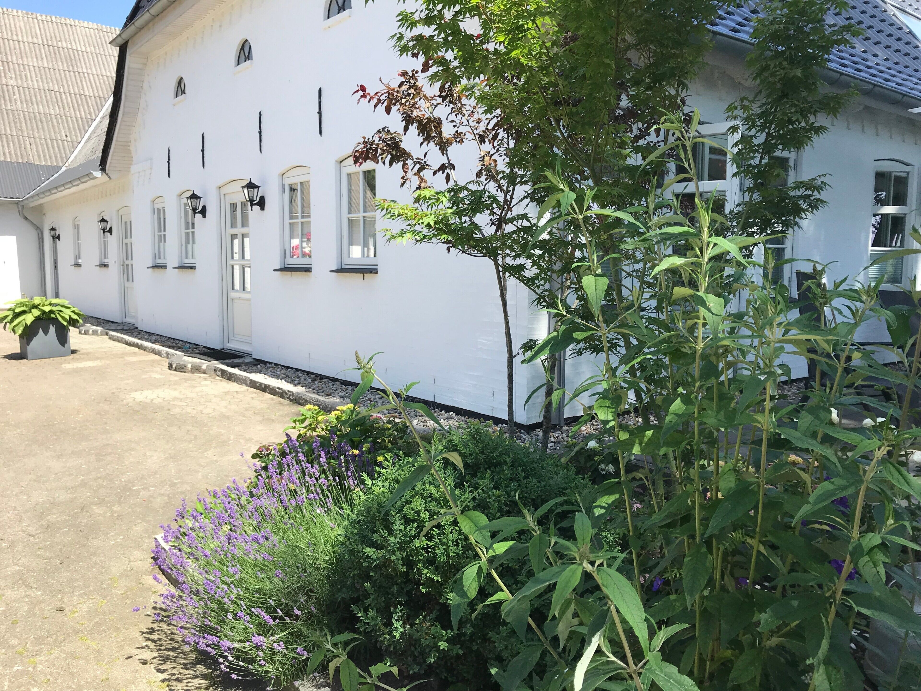 Boendeområde
