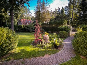 A garden with a paved path, various plants, and a building in the background.