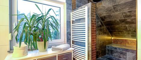 Shower, hair dryer, towels