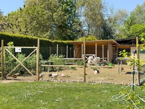 Property grounds - Apartment 'Wohnung Boskoop' Basement Unit with Wi-Fi (Immenstaad am Bodensee)