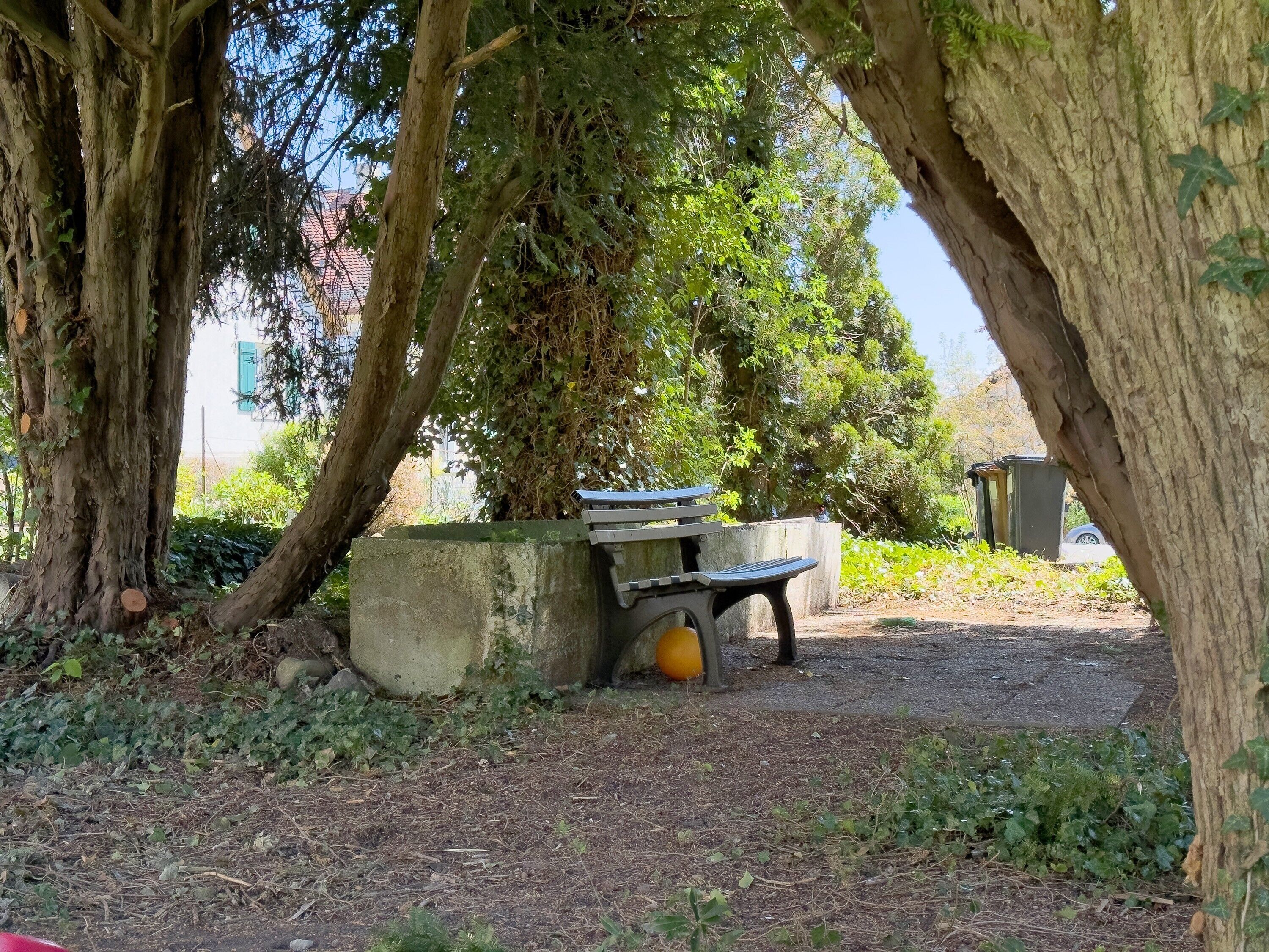Un banc sous un arbre, dans un parc.